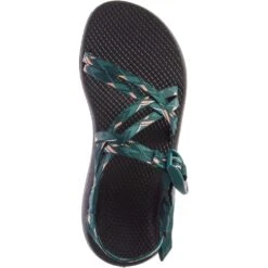 Chaco Women's Z/Cloud X Sandals - Warren Pine -Shoes Sale Store CUJCH107986 4