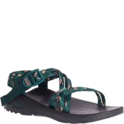 Chaco Women's Z/Cloud X Sandals - Warren Pine -Shoes Sale Store CUJCH107986 6