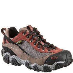 Oboz Footwear Earth Oboz Men's Firebrand II BDry Hiking Shoes - Earth